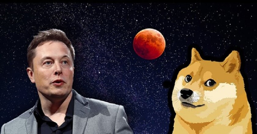 Celebrity Opinion Has Helped Dogecoin