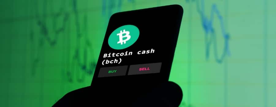 What is the future of Bitcoin Cash Will it survive long-term as a cryptocurrency